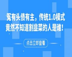 冤有头债有主，传统1.0模式竟然不知道割韭菜的人是谁！