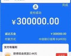 支付宝大额码真相揭秘：单笔30万？风控无视？没那么简单！