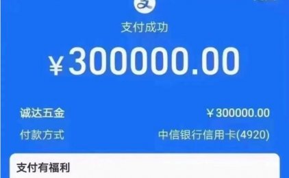 支付宝大额码真相揭秘：单笔30万？风控无视？没那么简单！