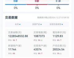 拉生意抱团直签服务商，月交易量12亿大团