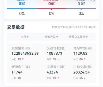 拉生意抱团直签服务商，月交易量12亿大团