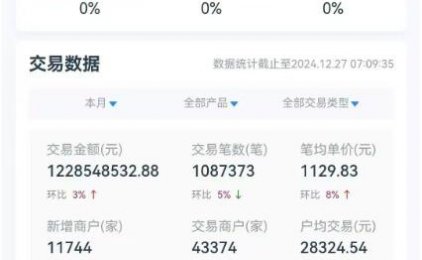 拉生意抱团直签服务商，月交易量12亿大团